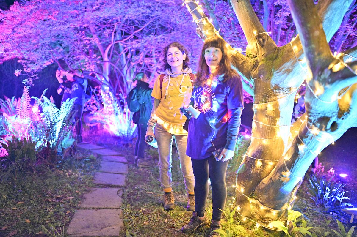 Two participants at Castle Night Trek , stood in a magical illuminated wood