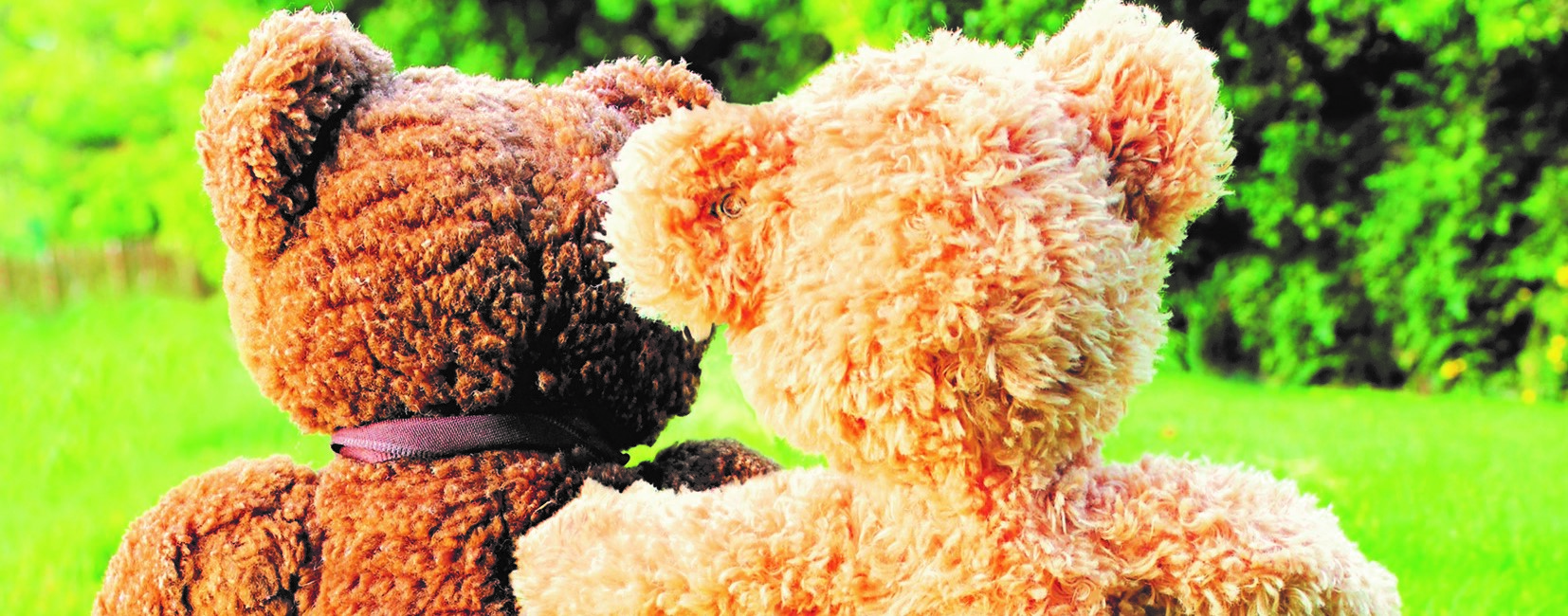 Teddy bears huggin