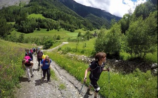 Walkers on a charity trek in the Alps