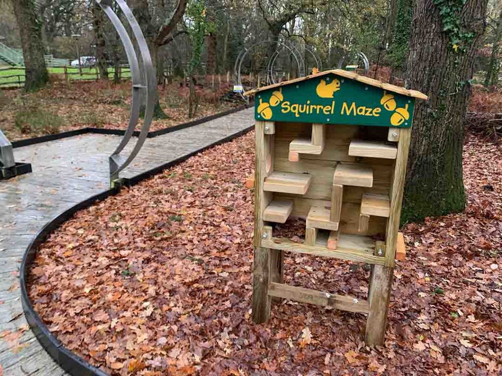 Squirrel Maze at Chestnut Tree House
