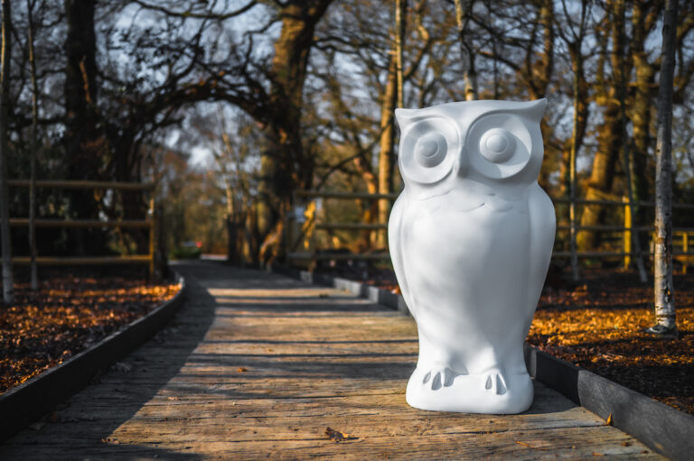 An unpainted Owl sculpture in the grounds at Chestnut Tree House