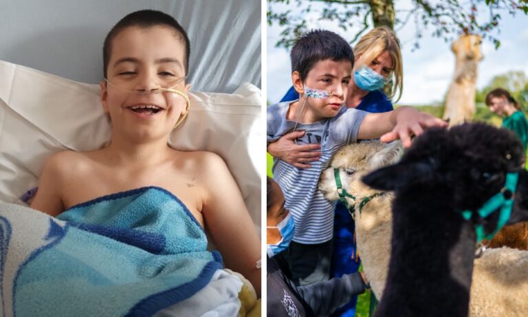 Montage images of Tyler. In the hospice with a tube in his nose (left) and outdoors having fun with llamas (right)