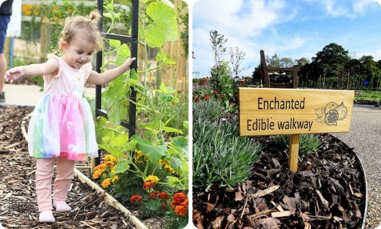 A little girl walks by some flowers and a sign shows the path to the Edible Walkway at Chestnut Tree House's new kitchen garden