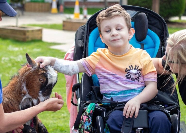 a child in a wheelchair at Chestnut Tree House, patting a goat on the head