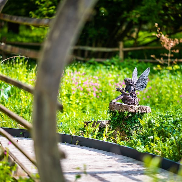 A fairy statue in the woodland walk at Chestnut Tree House