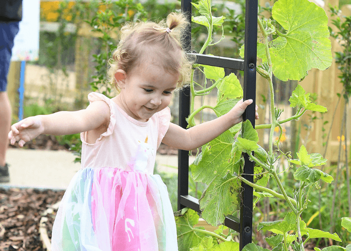 A child in the kitchen garden at Chestnut Tree House