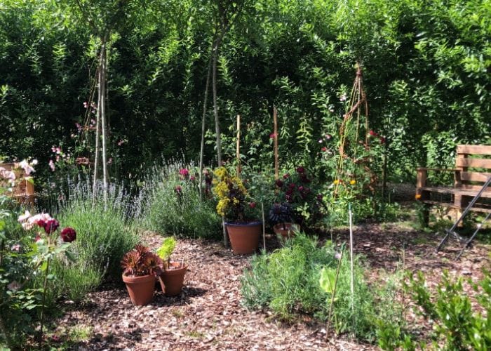 Benches, potted plants and bushes in the hearts and flowers garden, taking part in our open gardens event