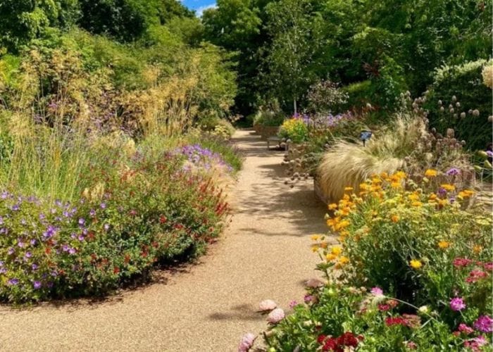 A pathway surrounded either side by mature shrubs and colourful flowers at highdown garden, taking part in our open gardens event