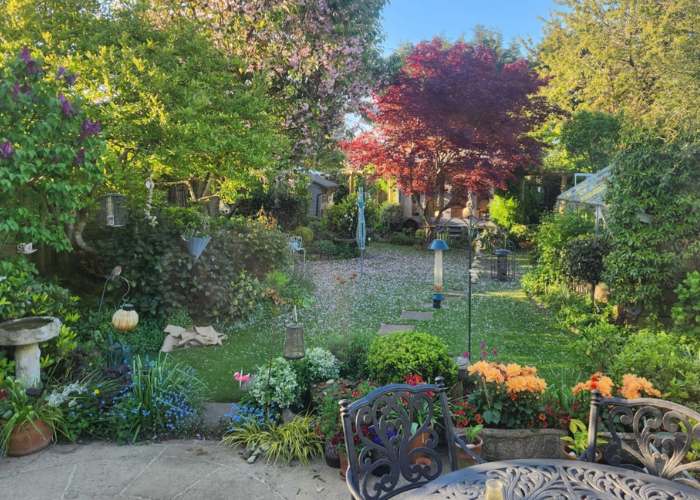 a pretty cottage garden full of mature plants and trees, with cafe style table and chairs in foreground
