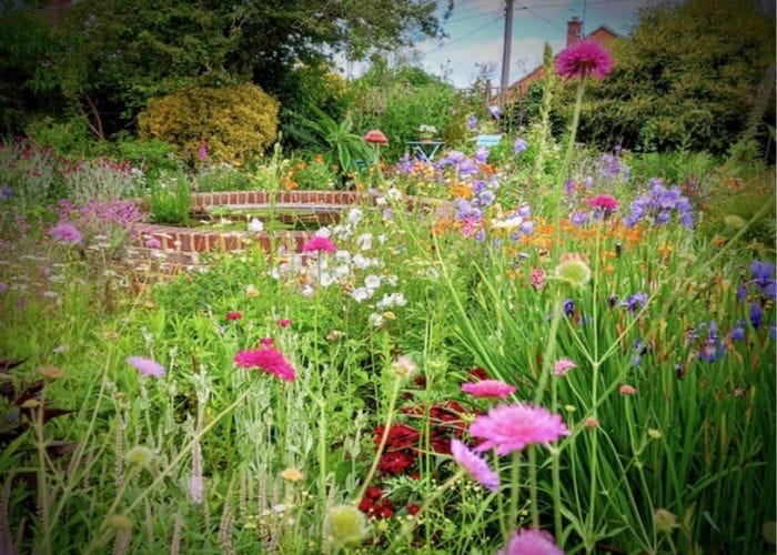 A brick pond and colourful flowers in the garden of rosemount cottage, taking part in our open gardens event